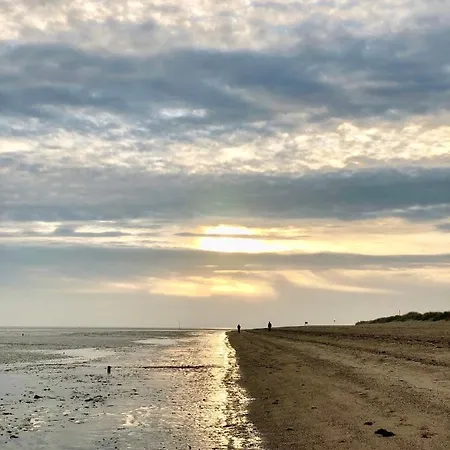 49 1 M Ankerplatz * Schillig